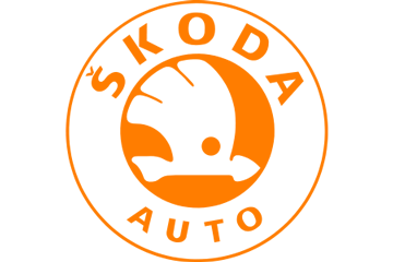Автомобильные шторки на Skoda